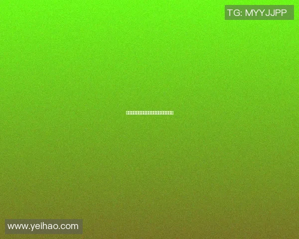 塞尔维亚对阵巴西比赛分析及必发指数解读